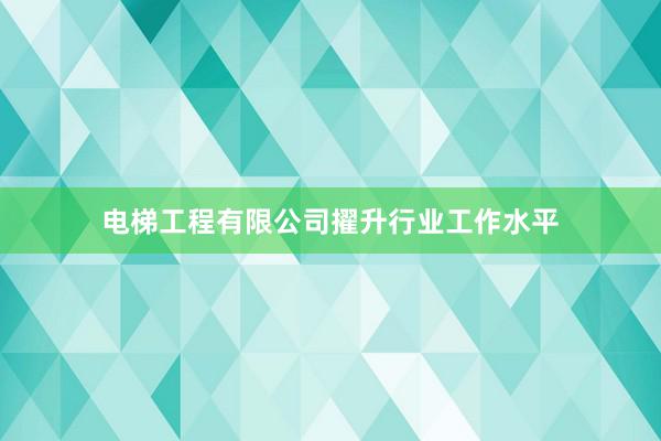 电梯工程有限公司擢升行业工作水平