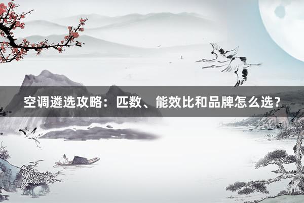 空调遴选攻略：匹数、能效比和品牌怎么选？
