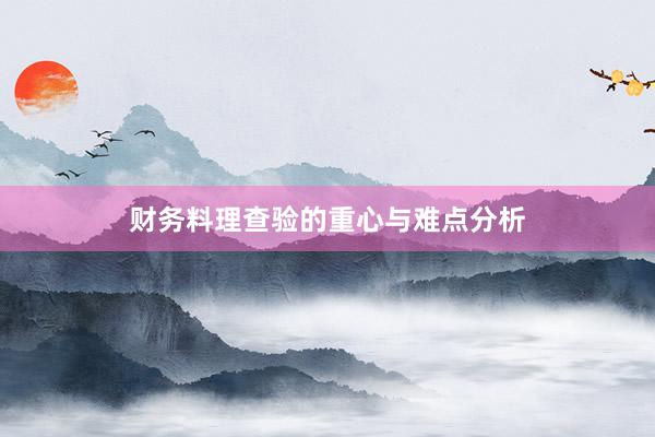 财务料理查验的重心与难点分析